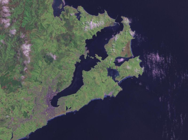 Ponto Turístico Península de Otago em Dunedin