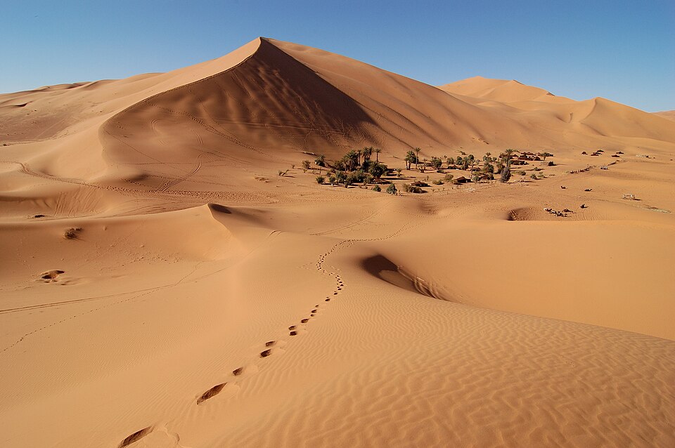 Ponto Turístico Passeio de Camelo em Merzouga (Deserto do Saara)