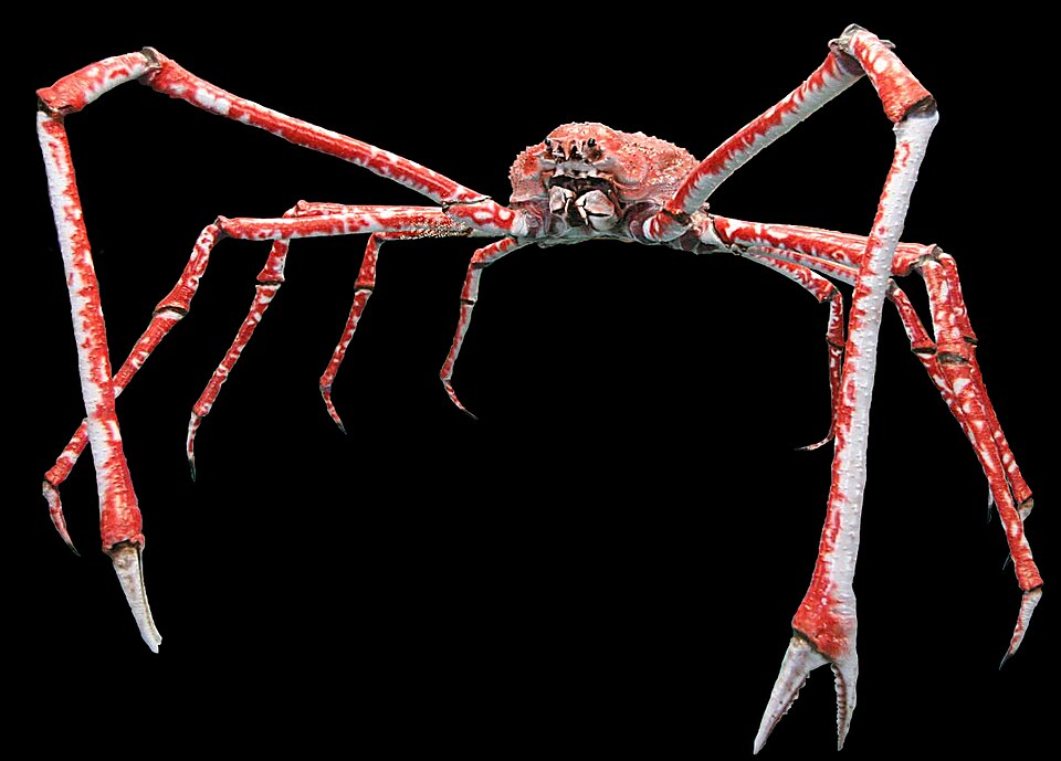 Ponto Turístico Shedd Aquarium em Chicago