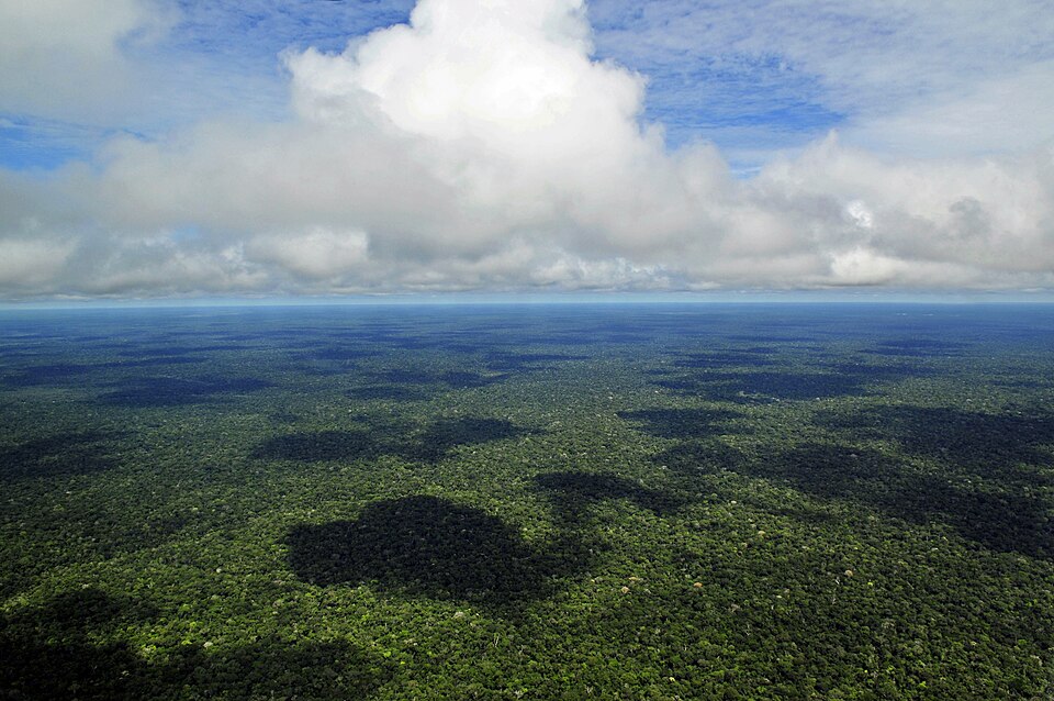 Ponto Turístico MUSA (Museu da Amazônia) em Manaus