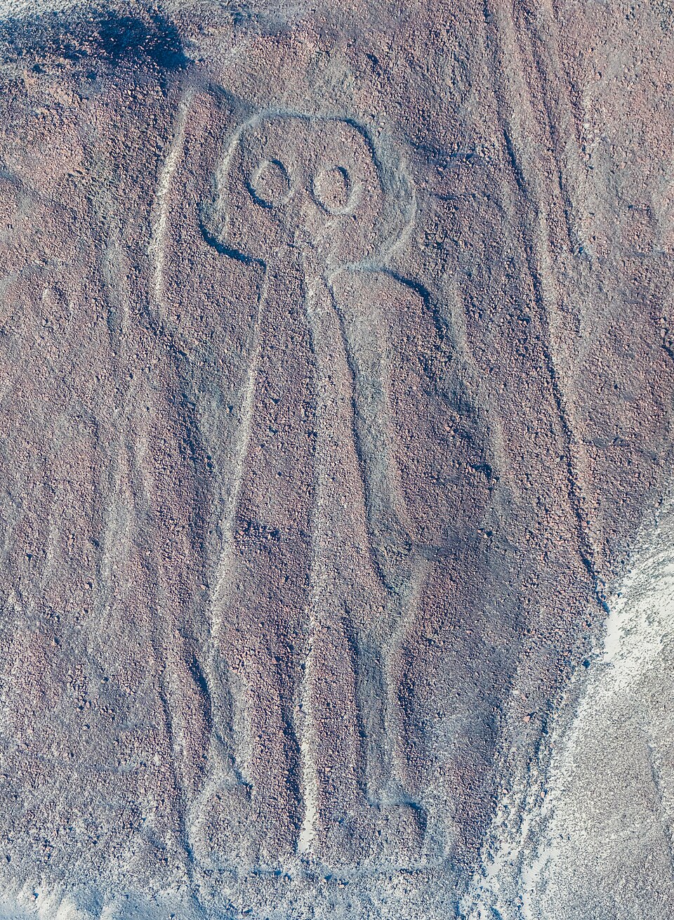Ponto Turístico Linhas de Nazca (Sobrevoo) em Nazca