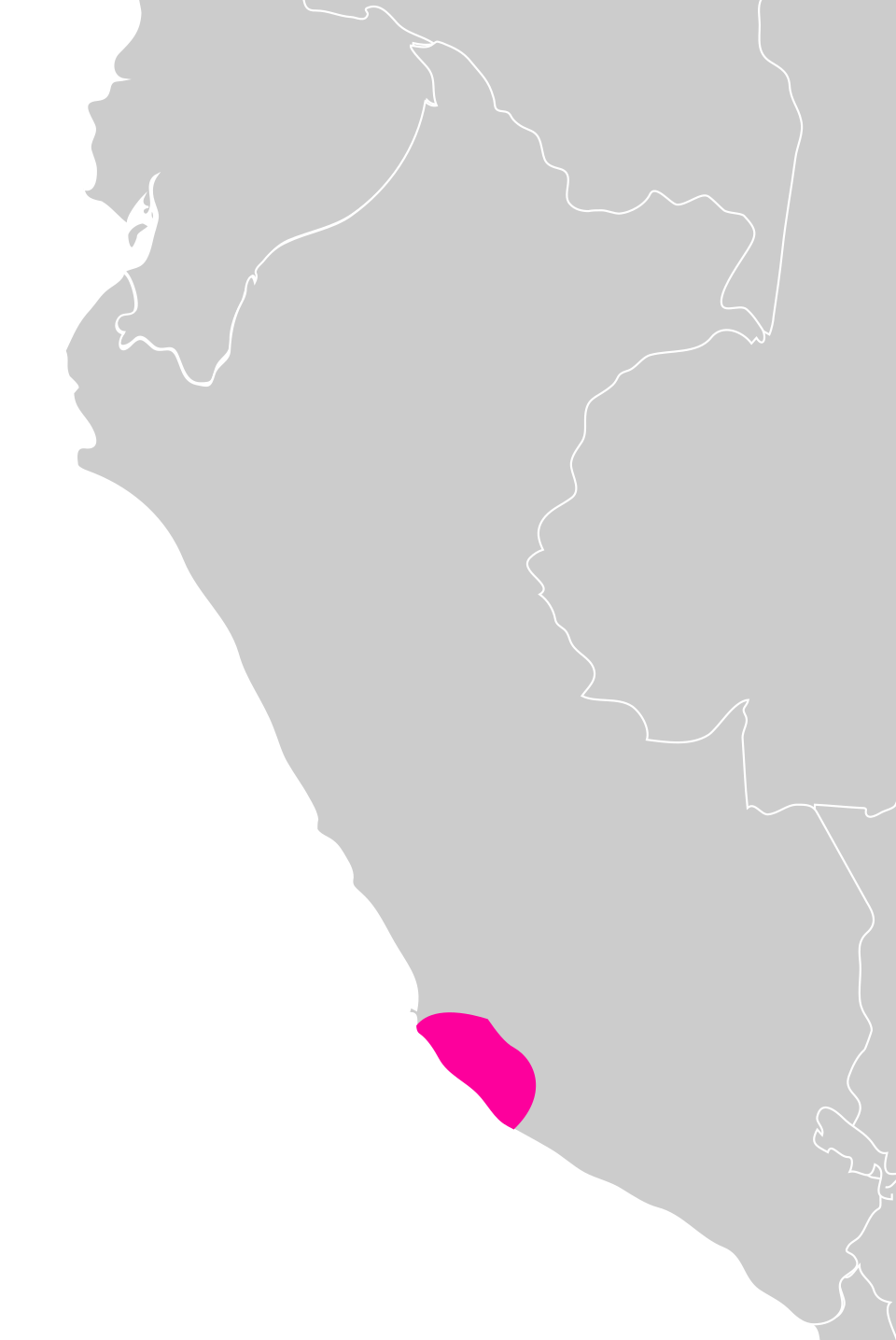 Ponto Turístico Aquedutos de Cantalloc em Nazca