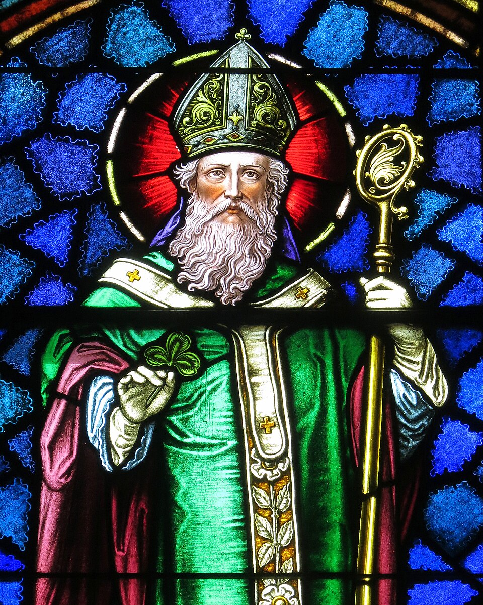 Ponto Turístico Catedral de São Patrício (St. Patrick's) em Dublin