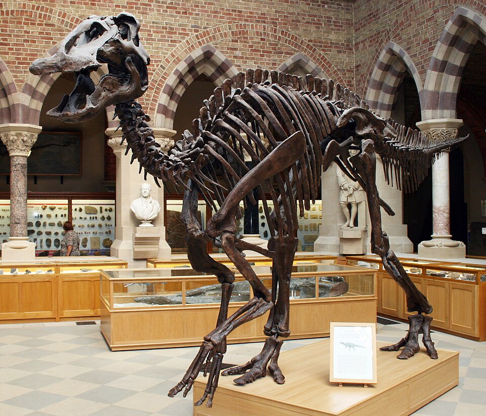 Ponto Turístico Museu de Ulster (Ulster Museum) em Belfast