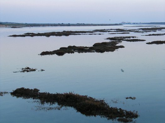 Ponto Turístico Parque Natural da Ria Formosa (Piers Fluviais) em Faro