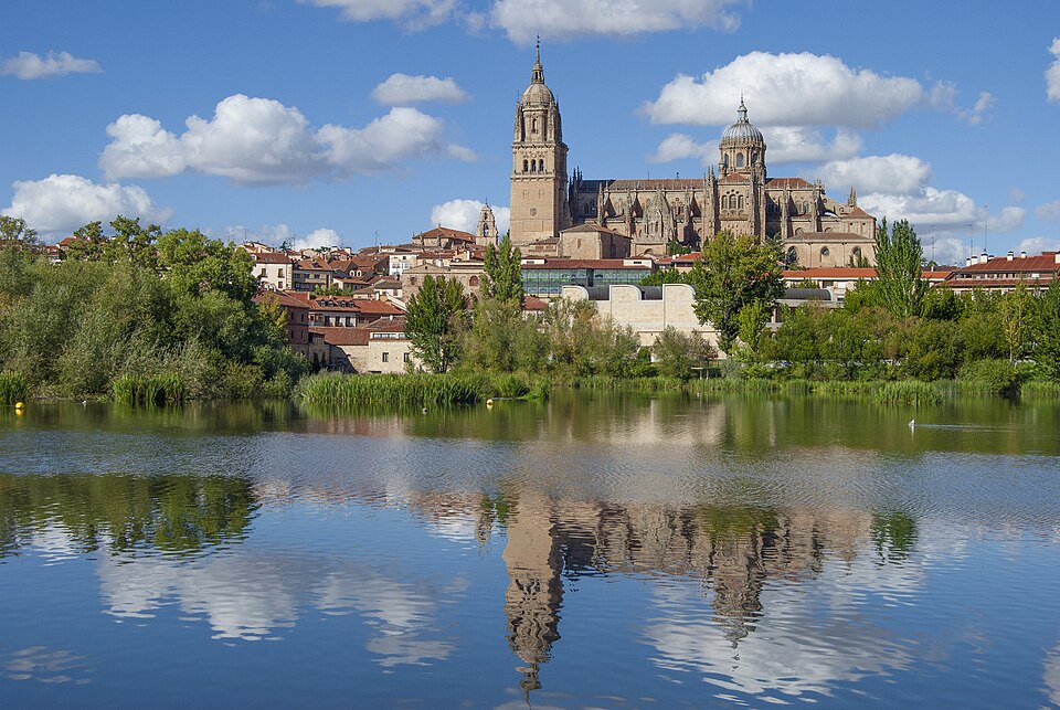 Ponto Turístico Casa das Conchas (Casa de las Conchas) em Salamanca