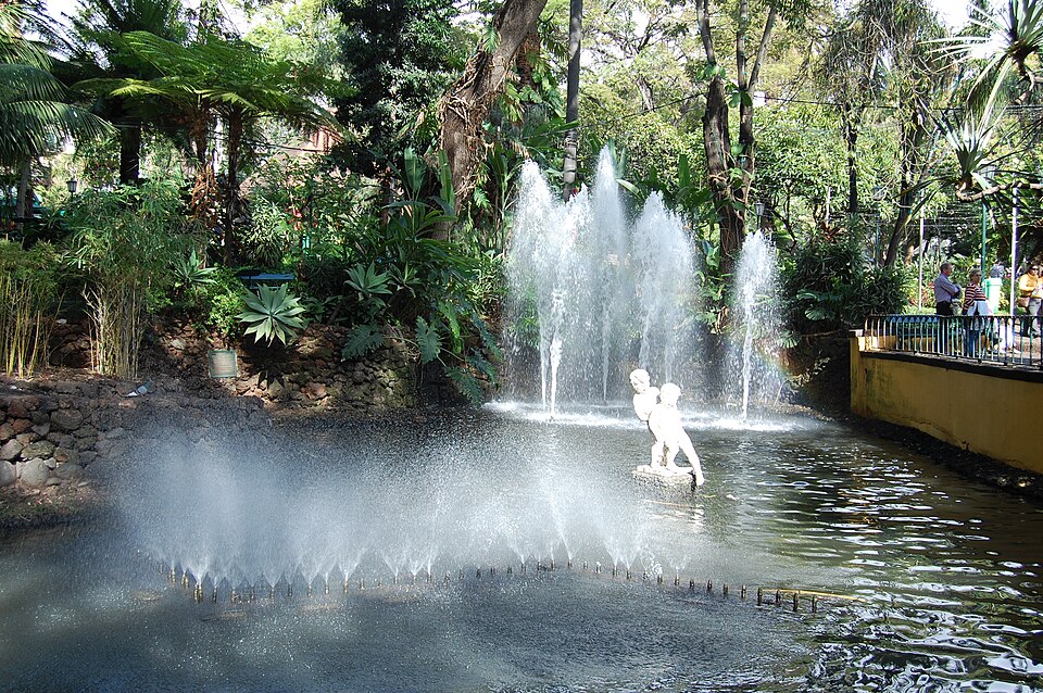 Ponto Turístico Lago de Cisnes da Fortaleza em Făgăraș
